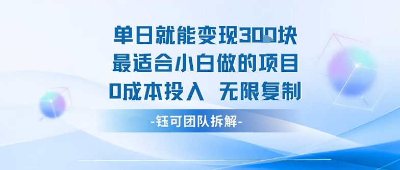 单日就能变现3张最适合小白做的项目0成本投入 无限复制-副业网资源站