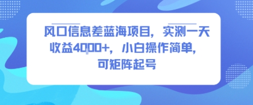 风口信息差蓝海项目，实测一天收益4k+，小白操作简单，可矩阵起号-副业网资源站