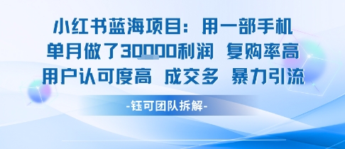 小红书蓝海项目，一部手机单月做了3W利润，小白也能月入过1W用户认可度高成交多-副业网资源站