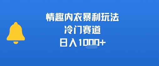 情趣内衣暴利玩法，冷门赛道，日入1k+-副业网资源站