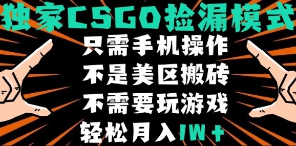 CSGO自动捡漏项目，最新独家玩法，不是美区搬砖，不需要了解和玩游戏，新手小白轻松月入1W+【揭秘】-副业网资源站