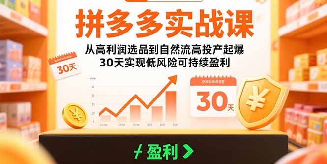 拼多多实战课：从高利润选品到自然流高投产起爆 30天实现低风险可持续盈利-副业网资源站