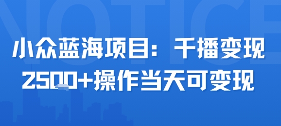 小众蓝海项目，千播变现2.5k+操作当天可变现-副业网资源站