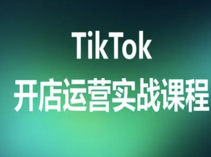 TikTok开店运营实战课程，TK跨境电商实操全流程-副业网资源站