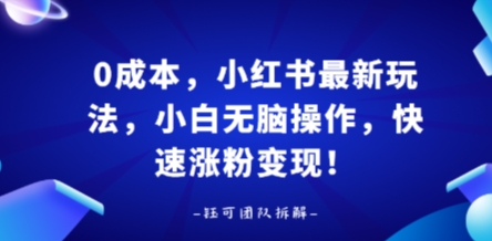 0成本，小红书最新玩法，小白无脑操作，快速涨粉变现-副业网资源站