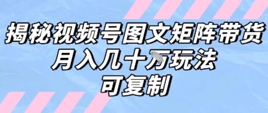 解密视频号图文矩阵带货，月入几个W的打法，可复制-副业网资源站