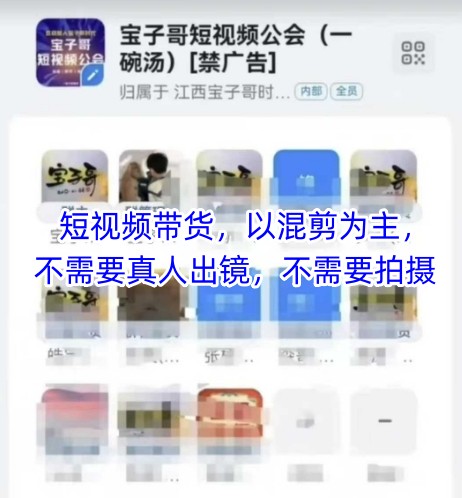 宝子哥头部团队短视频带货，以混剪为主，不需要真人出镜，不需要拍摄【更新8月】-副业网资源站