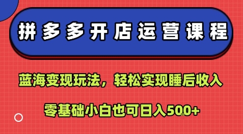 拼多多开店运营课程：蓝海变现玩法，轻松实现睡后收入，零基础小白也可日入5张-副业网资源站