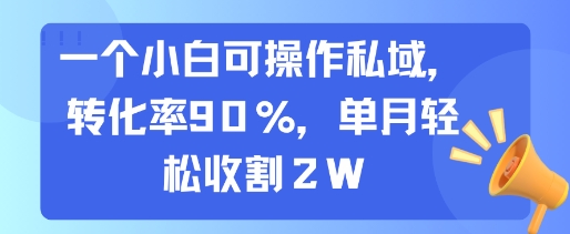 一个小白可操作私域，转化率90%，单月轻松收割2W-副业网资源站