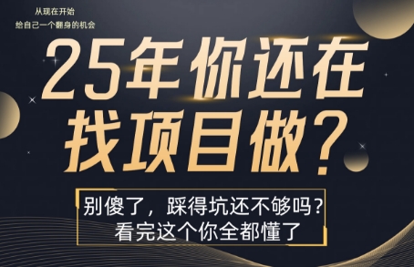 25年，你还在疯狂的找项目吗？别傻了，看完这个你都懂了【揭秘】-副业网资源站