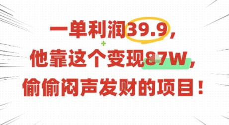 一单利润39.9，有人靠这个变现几十个，偷偷闷声发财的项目-副业网资源站