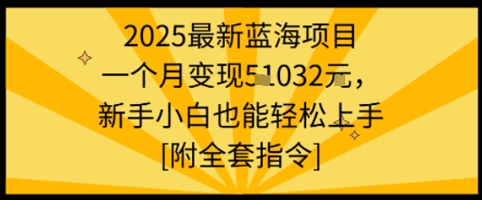 2025最新蓝海项目一个月变现1w+新手小白也能轻松上手【附全套指令】-副业网资源站