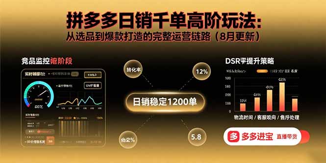 拼多多日销千单高阶玩法：从选品到爆款打造的完整运营链路(8月更新-副业网资源站