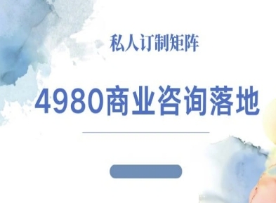 4980商业咨询师落地课程-ip运营高客单教程-副业网资源站