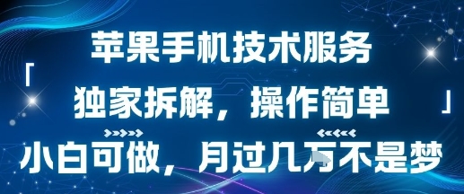 苹果手机技术服务，独家拆解，操作简单，小白可做，月过1W不是梦-副业网资源站