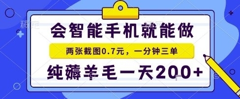 手机项目，二十秒一单，纯薅羊毛一天2张+做就有【揭秘】-副业网资源站