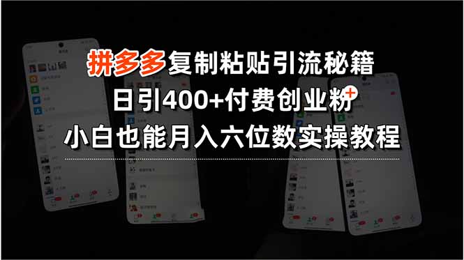 拼多多复制粘贴引流秘籍，日引400+付费创业粉，小白也能月入六位数实操…-副业网资源站