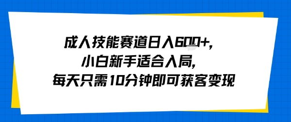 成人技能赛道日入多张，小白新手适合入局，每天只需10分钟即可获客变现-副业网资源站