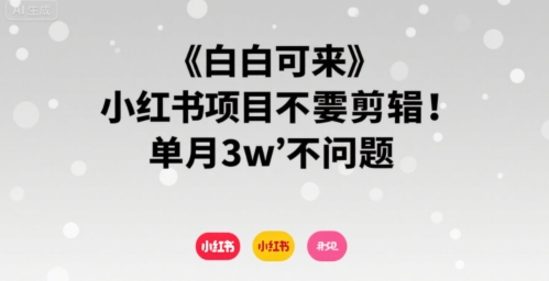 小白可来 小红书项目不需要剪辑 单月3w不是问题-副业网资源站