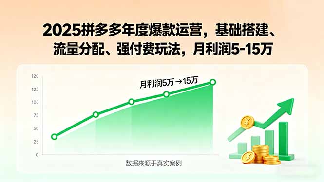 2025拼多多年度爆款运营，基础搭建、流量分配、强付费玩法，月利润5-15万-副业网资源站