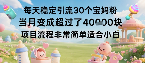 每天稳定引流30个宝妈粉当月变成超过了1W+项目流程非常简单适合小白-副业网资源站