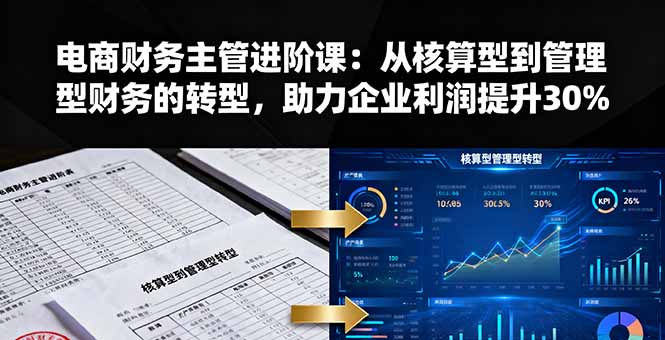 电商财务主管进阶课：从核算型到管理型财务的转型，助力企业利润提升30%-副业网资源站