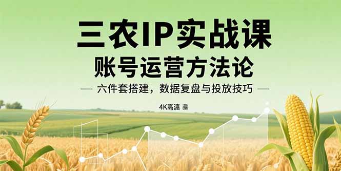 三农IP实战课：账号运营方法论，六件套搭建，数据复盘与投放技巧-副业网资源站