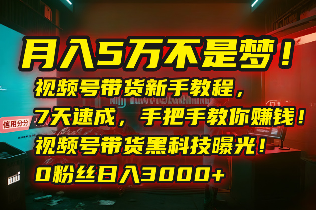 月入5万不是梦！视频号带货新手教程，7天速成，手把手教你赚钱！视频号…-副业网资源站
