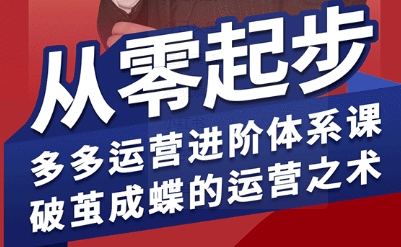 拼多多运营进阶系统课，从零起步，多多运营进阶体系课，破茧成蝶的运营之术-副业网资源站