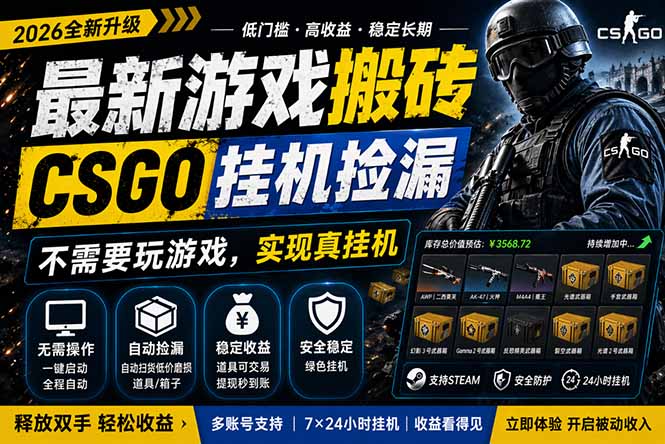 最新游戏搬砖，CSGO纯挂机，不需要玩游戏，实现真挂机，月入1W+，五一小高峰上车可吃肉，…-副业网资源站