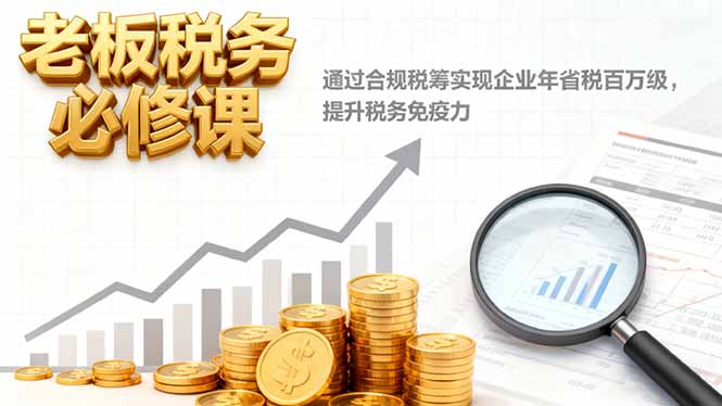 老板税务必修课，通过合规税筹实现企业年省税百万级，提升税务免疫力-副业网资源站