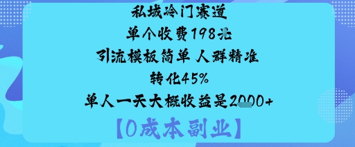 私域冷门赛道:单个收费198米引流模板简单人群精准转化45%单人一天大概收益是1k+-副业网资源站