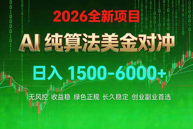 2026 全新美金对冲项目，不套平台赠金，不封号，纯算法对冲，日入 1500-6000+-副业网资源站