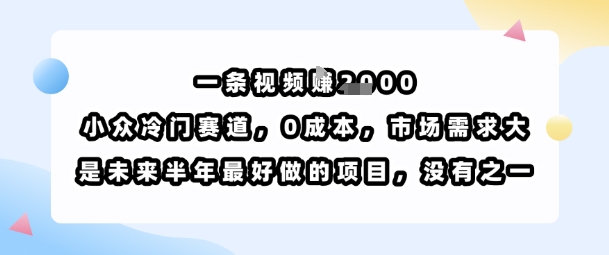 一条视频挣1k，小众冷门赛道，0成本，市场需求大，是未来半年最好做的项目，没有之一-副业网资源站
