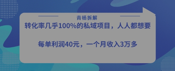 转化率最高的私域项目，每单利润40-50米，月入过1w-副业网资源站