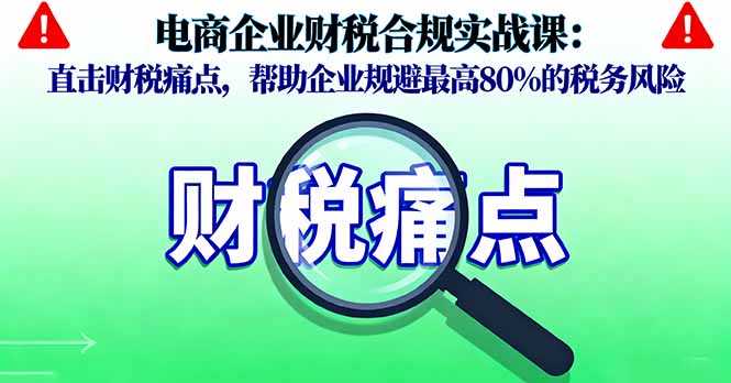 电商企业财税合规实战课，直击财税痛点，帮助企业规避最高80%的税务风险-副业网资源站