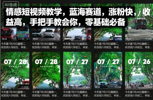 情感短视频教学，蓝海赛道，涨粉快，收益高，手把手教会你，零基础必备-副业网资源站