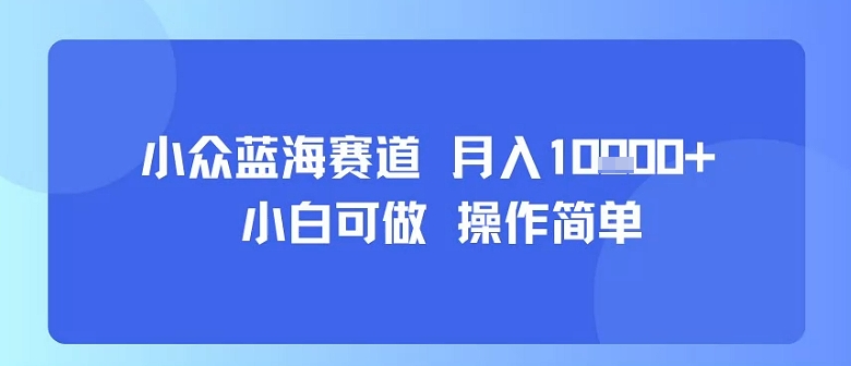 小众蓝海赛道，小白可做，操作简单，每天30分钟，月入1W+-副业网资源站