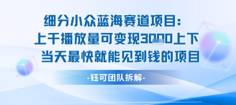 小众蓝海赛道项目：当天变现1k+适合新手操作 +适合长期玩-副业网资源站