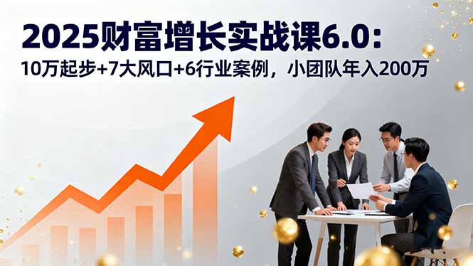 2025财富增长实战课6.0：10万起步+7大风口+6行业案例，小团队年入200万-副业网资源站