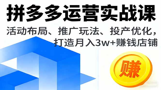 拼多多运营实战课，活动布局、推广玩法、投产优化，打造月入3w+赚钱店铺-副业网资源站