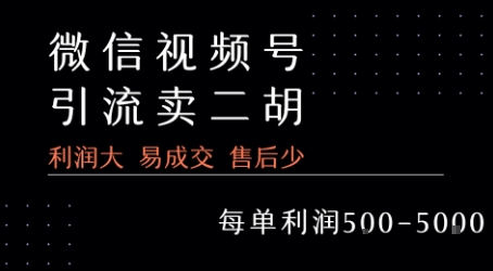 视频号卖二胡教程，利润大 易成交 售后少，一单利润5张+-副业网资源站