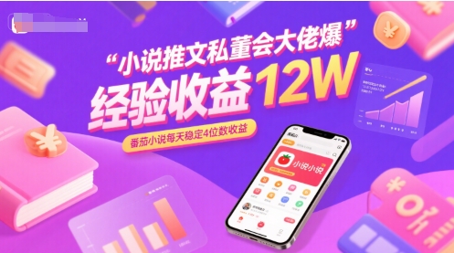 小说推文私董会大佬爆单经验分享收益12W，番茄小说每天稳定4位数收益-副业网资源站