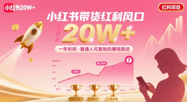 一年时间靠小红书带货项目年入20w+，最不能错的大红利项目-副业网资源站