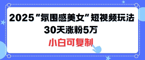 不露脸也能火！2025“氛围感美女”短视频玩法，30天涨粉5W小白可复制-副业网资源站