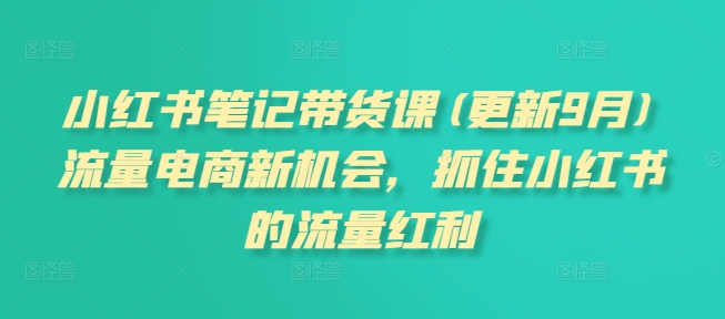 小红书笔记带货课(更新25年9月)流量电商新机会，抓住小红书的流量红利-副业网资源站