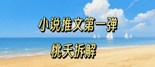 小说推文项目操作全流程第一弹，0粉就能做，门槛低非常适合新手-副业网资源站