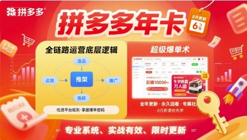 拼多多年卡【8月更新6节】拼多多全链路运营底层逻辑，超级爆单术-副业网资源站