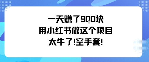 一天挣了9张用小红书做这个项目太牛了，空手套-副业网资源站