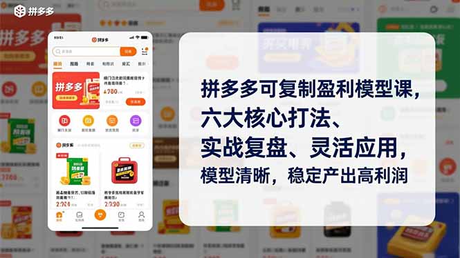 拼多多可复制盈利模型课，六大核心打法、实战复盘、灵活应用，模型清晰，稳定产出高利润-副业网资源站
